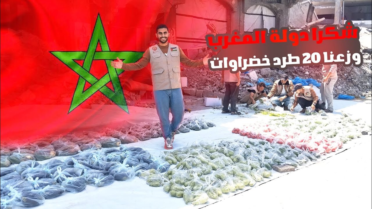 في ضل الغلا والجوع بشمال غزة 🇵🇸 وزعنا وجبرنا خاطر الناس بتوزيع طرد الخضار ، شكراً المغرب 🇲🇦