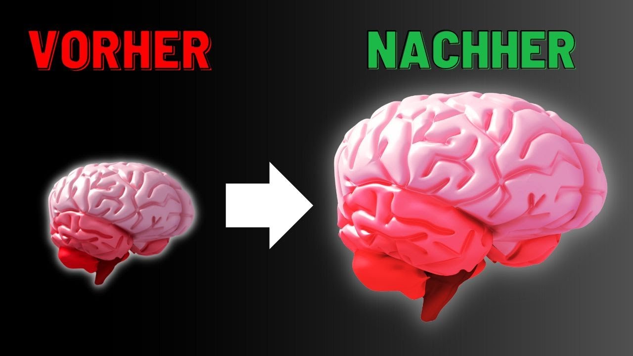Demenz & Alzheimer verhindern - 3 TOP Nahrungsergänzungsmittel