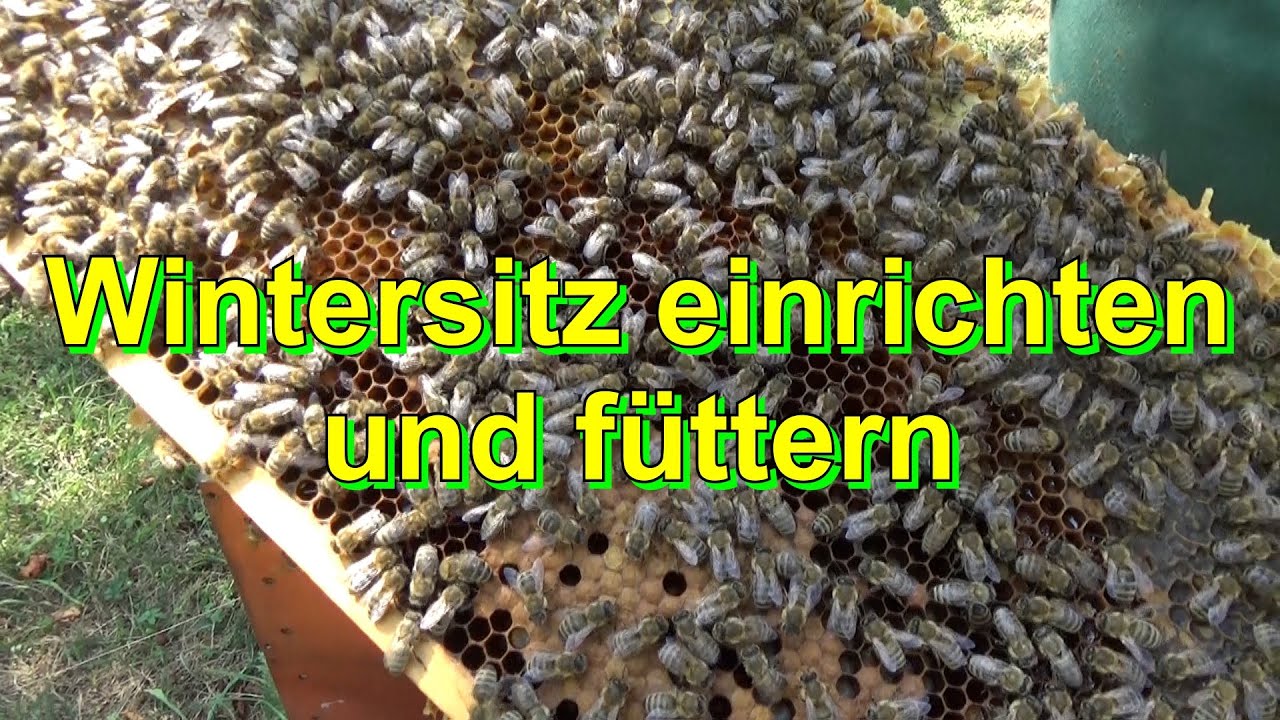 Wintersitz einrichten und füttern