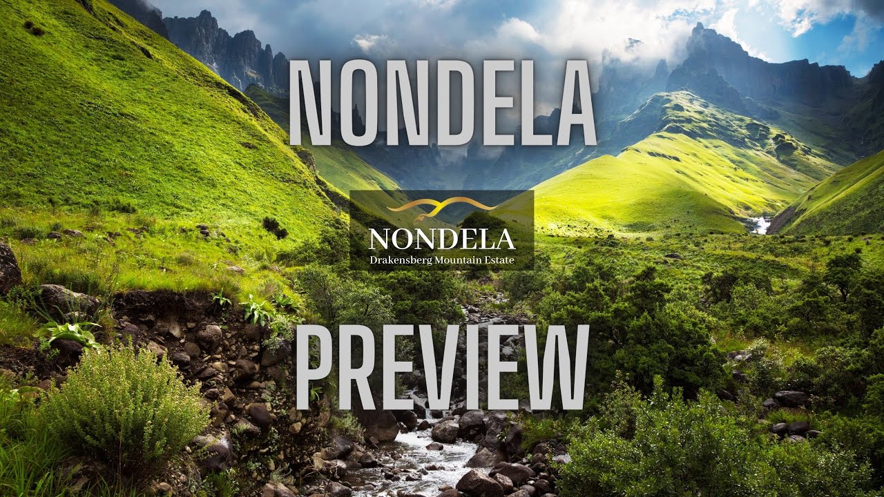 NONDELA PREVIEW