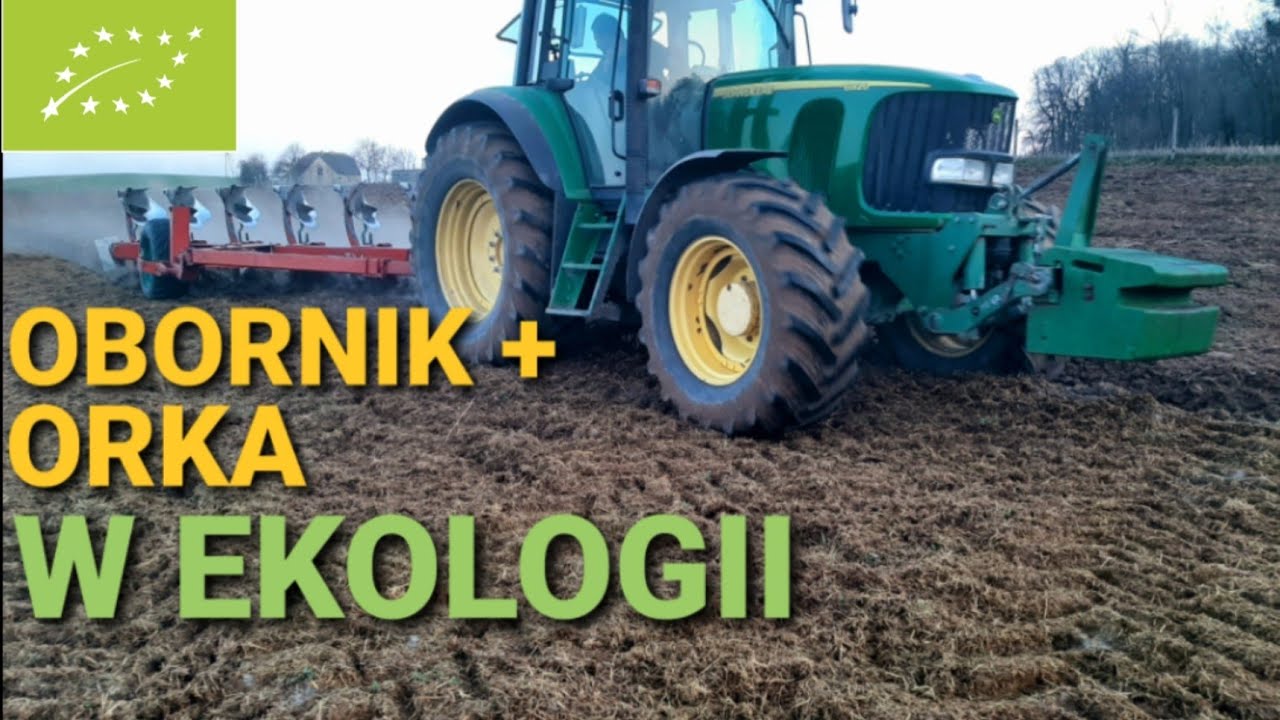 🤠 Wyrzucanie obornika  + orka na 6 skib / John deere 6920 oraz JCB tm 220 agri / kilka słów od Taty.