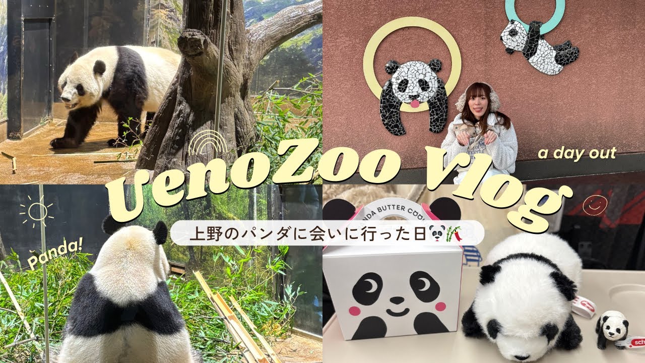 【上野動物園】中国返還前のパンダ、シャオシャオとレイレイに会いに行ってきた日vlog🐼