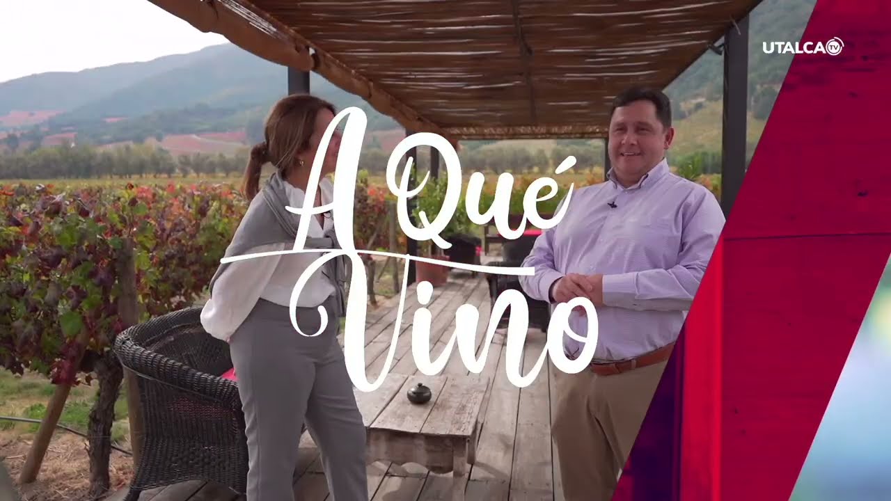 A Que Vino T3 - Cap 1  La importancia del Enoturismo en Chile