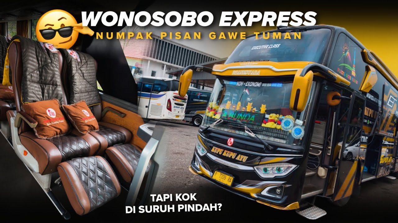 LAGI ENAK DI SURUH PINDAH KENAPA NIH? KUPU KUPU AYU • DHANESWARA × PRAMESWARI | WONOSOBO - CIKARANG 