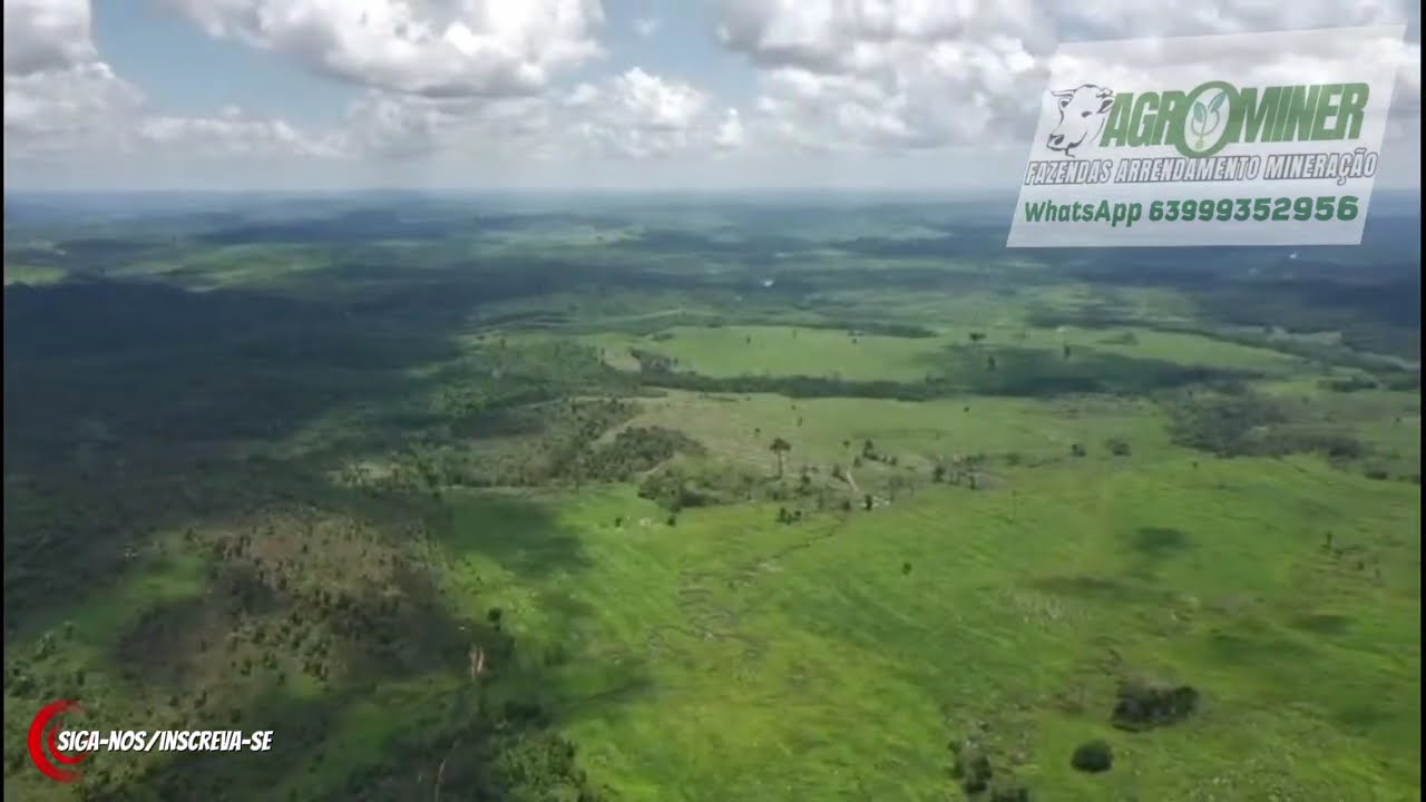 FAZENDA À VENDA NO PARÁ: 2904 HECTARES | PECUÁRIA CREDITO DE CARBONO PLANTIO  AGRONEGÓCIO