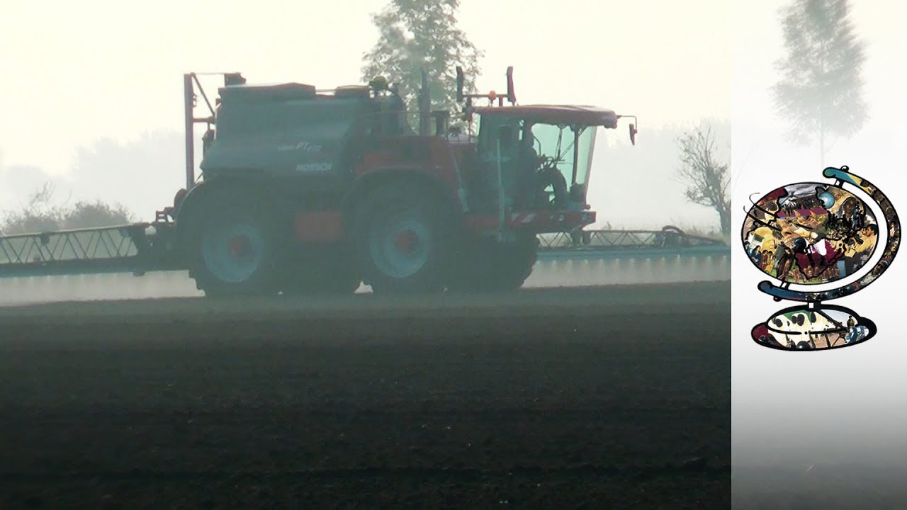Glyphosate: Monsanto's Latest Scandal