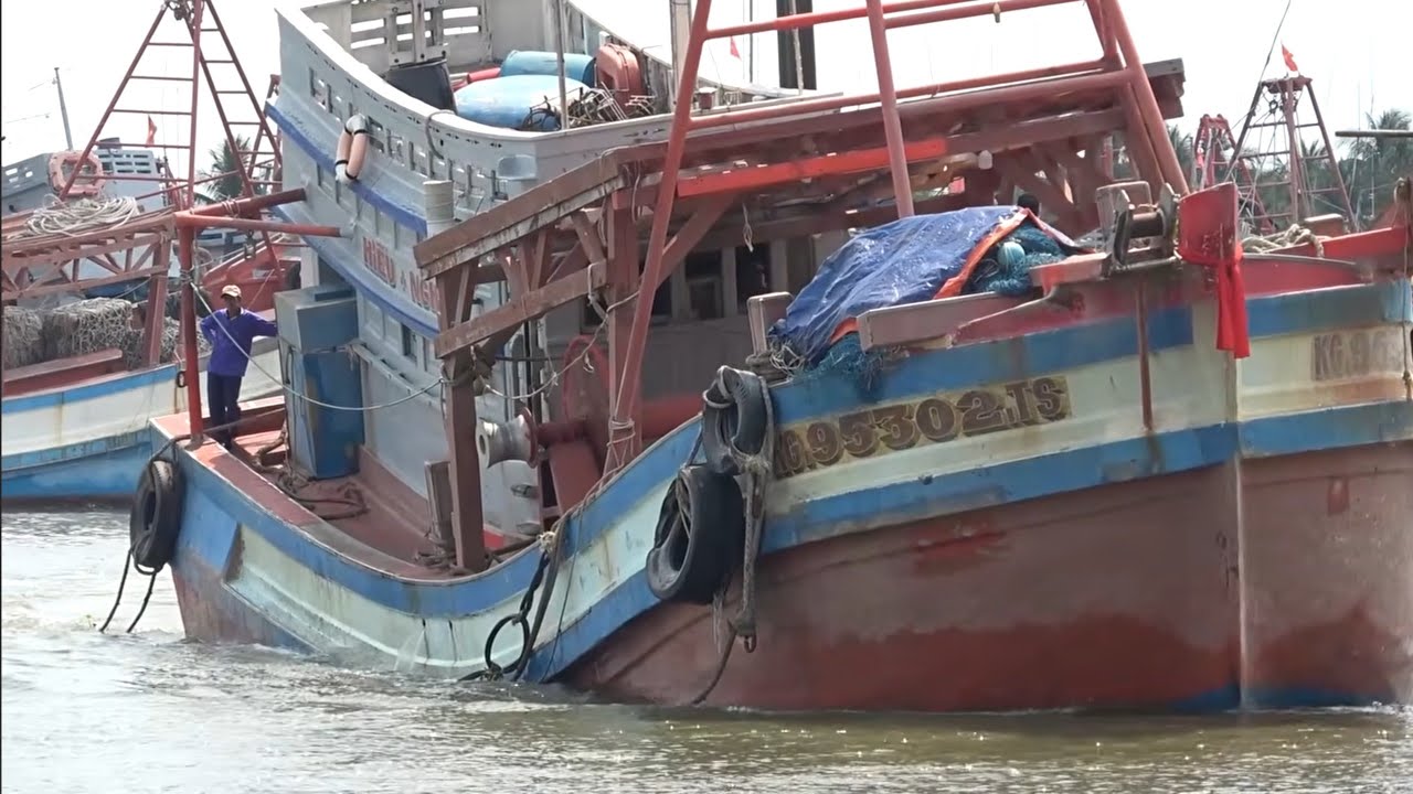 Ghe cào khổng lồ ở Tắc Cậu lủi vô bờ tìm cách thoát ra quá khó