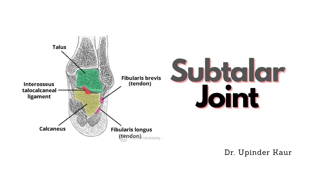 Subtalar Joint