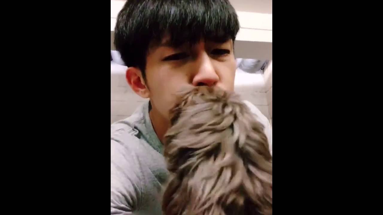 [FB] 炎亞綸 Aaron Yan shared a video on his Facebook (with his puppy Poti) 20160830