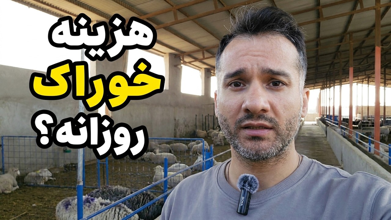 هزینه نگهداری (خوراک) یک روز گوسفند چقدره؟