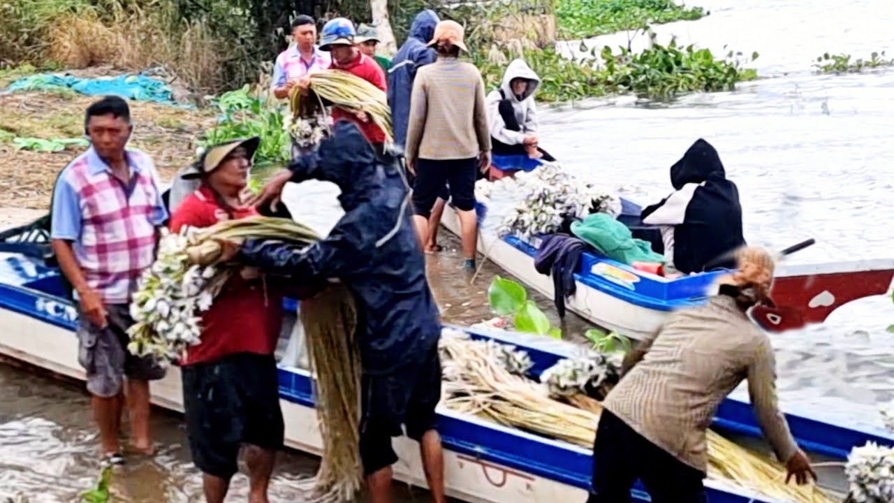 Mùa Nước Nổi 2025 – Kênh Tha La Nhộn Nhịp Mùa Dớn Cá Đồng