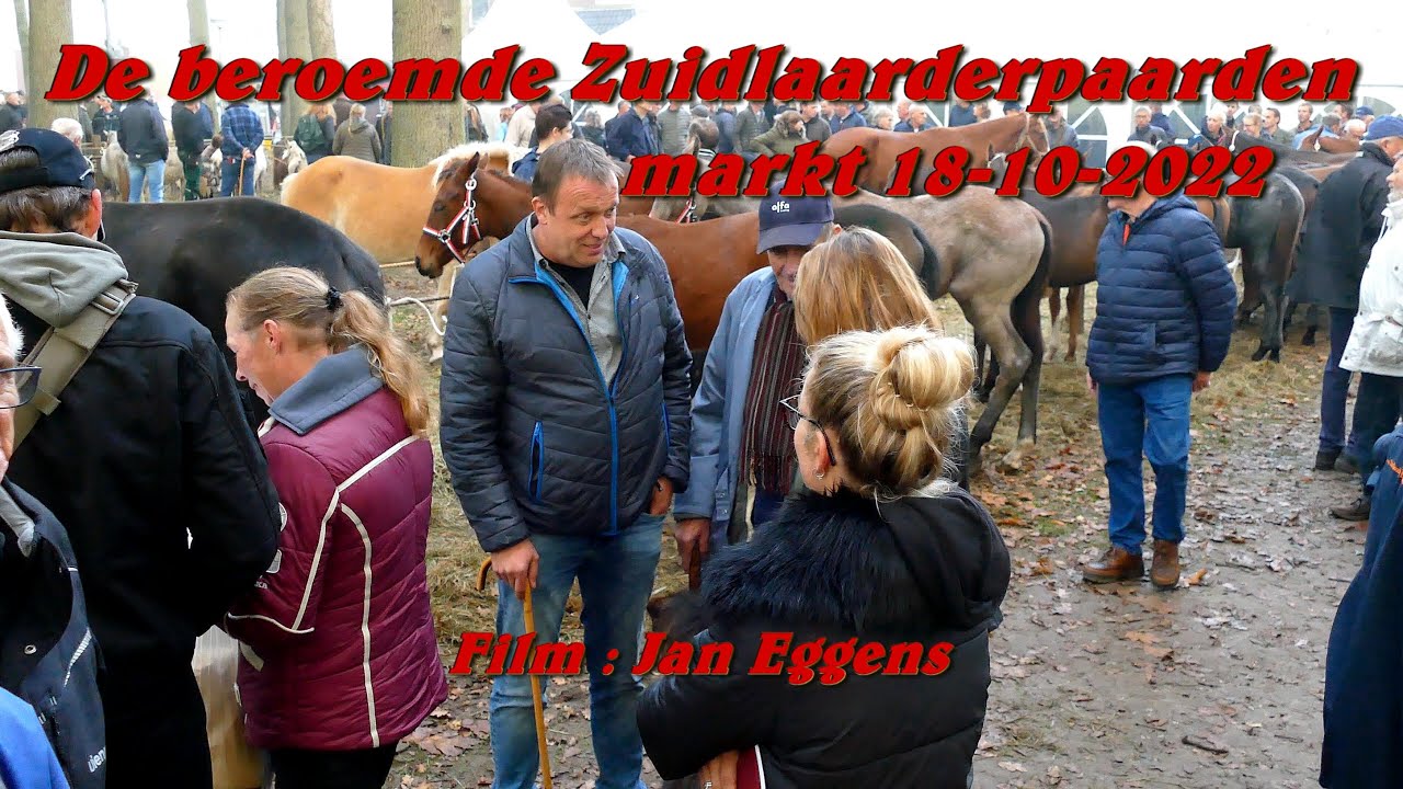 De beroemde Zuidlaarderpaardenmarkt 18 10 2022