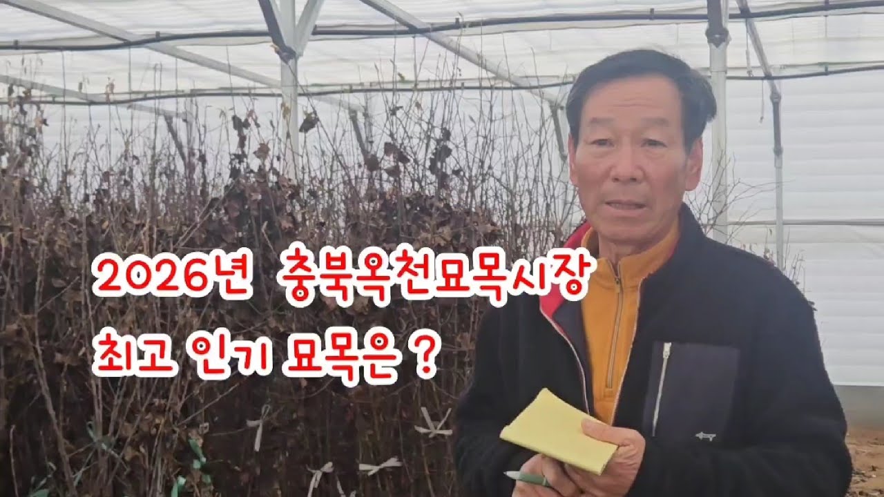 국내 최대 묘목시장 옥천 중앙농원 유실수 도매가격