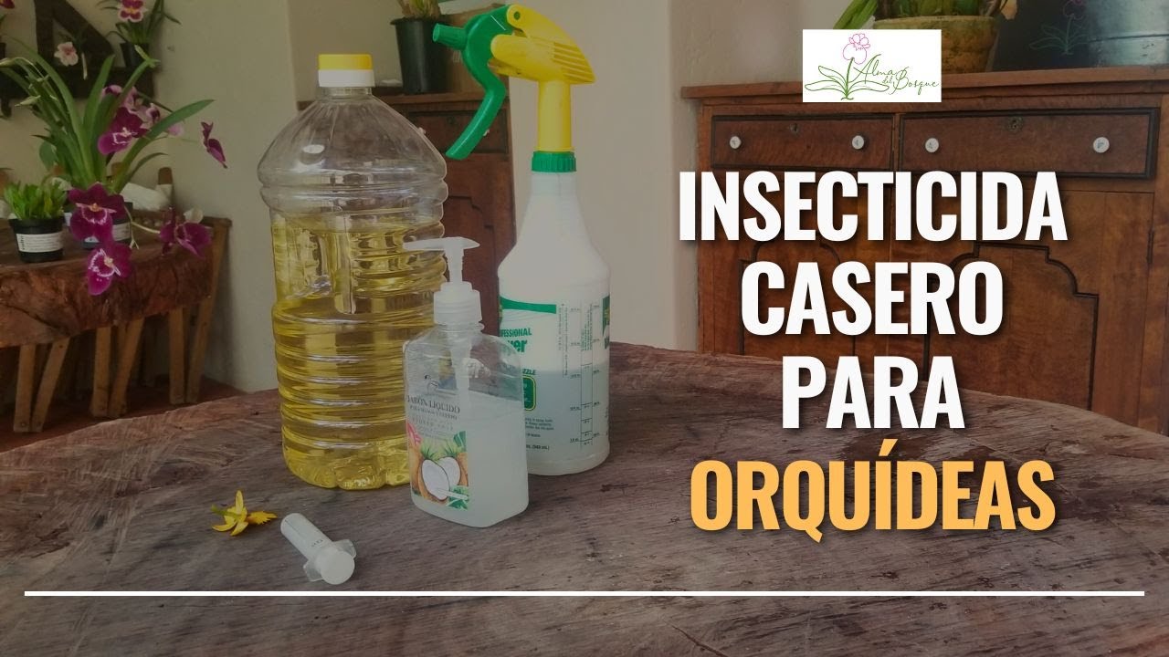 Insecticida casero para orqu&iacute;deas - Tutorial - Alma del Bosque