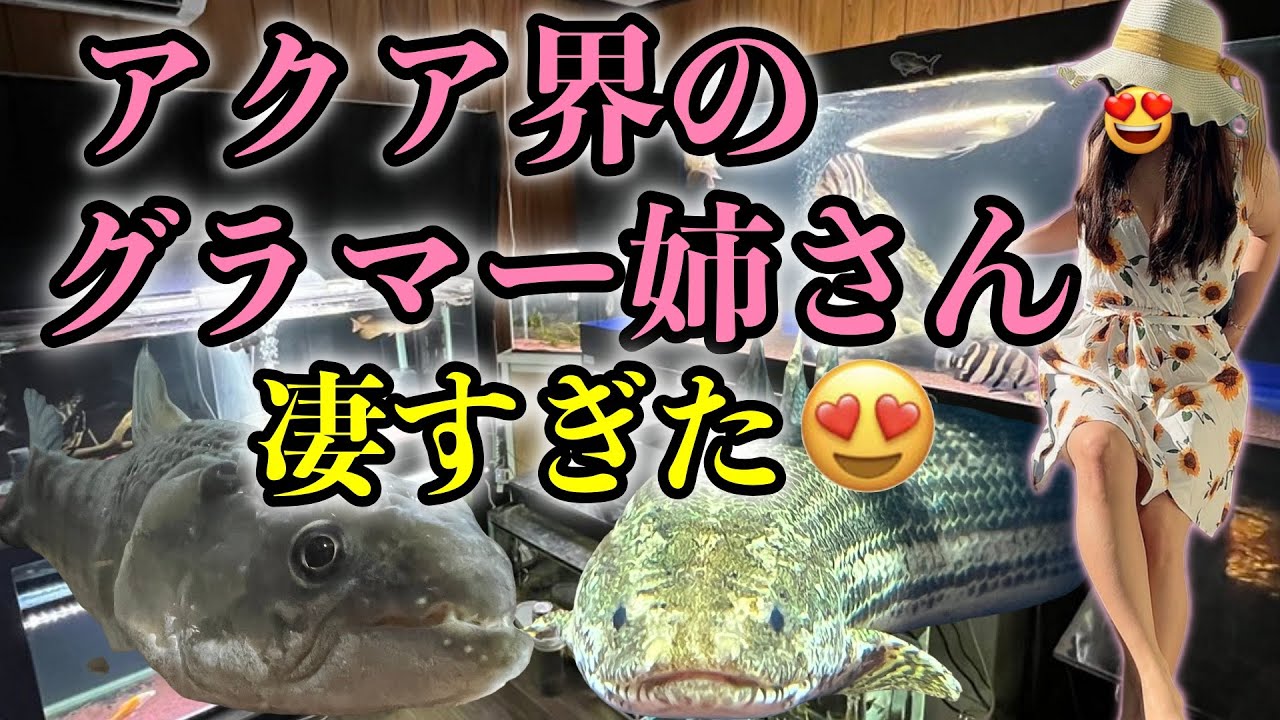 グラマーお姉さんの飼育部屋がハイレベル👯‍♀️　おさかなパラダイス🐟  グルメ系アクアリスト