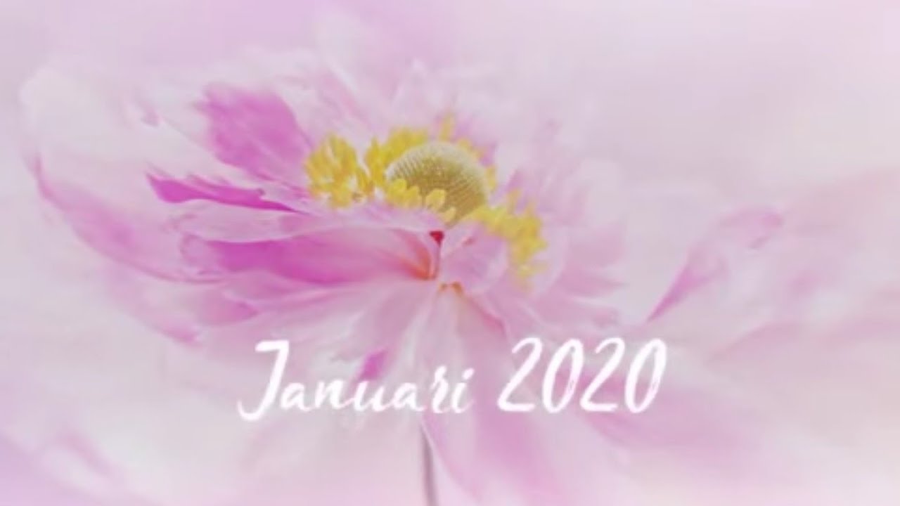 Maandreading Januari 2020 🔮