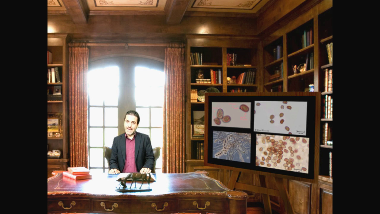 IL MERAVIGLIOSO MONDO DEI FUNGHI - MICOLOGIA - LEZIONE 3 - SPORE FUNGINE - INIZIAMO A INTRODURLE