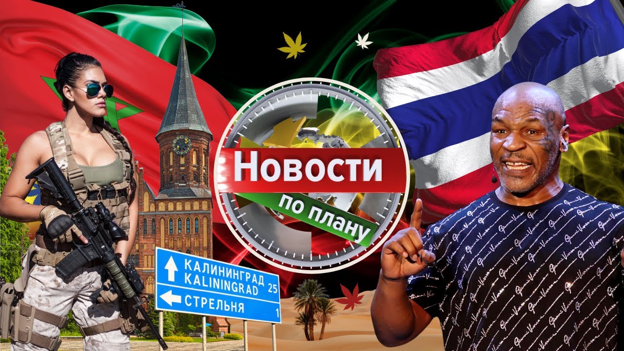 Конопля в Калининграде, элитные гибриды, Тайсона спасла конопля. Новости по плану выпуск 15 #235