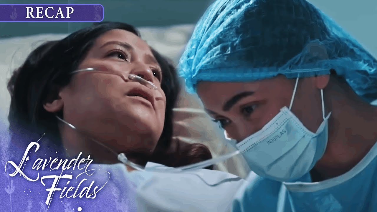Lily bids farewell to Lavender | Lavender Fields Recap