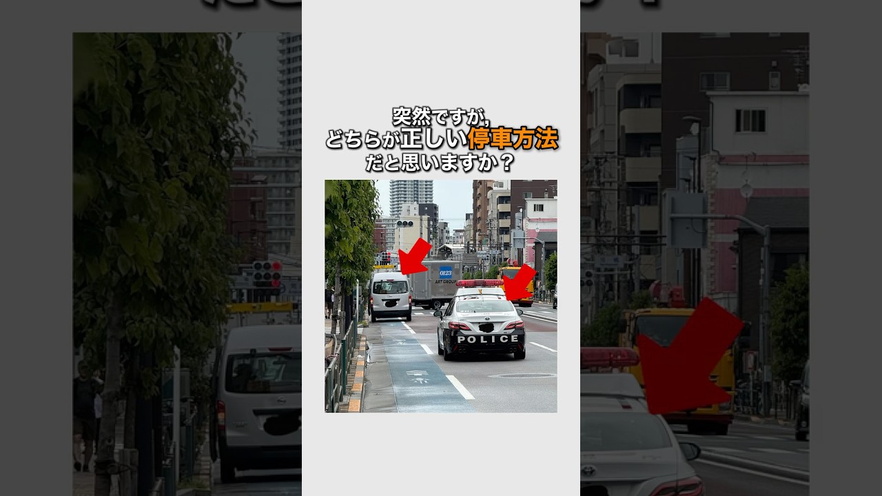 どちらが正しい停車方法⁉︎自転車レーンに停める車vs避けるパトカー #1分雑学 #自転車レーン #停車