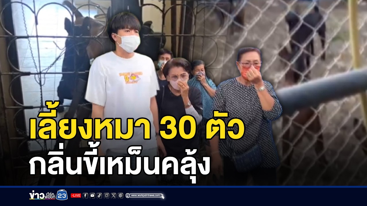 ป้าเช่าบ้านเลี้ยงหมา 30 ตัว กลิ่นขี้เหม็นคลุ้ง | ชงข่าวเขย่าจอ | 9 มีนาคม 2569