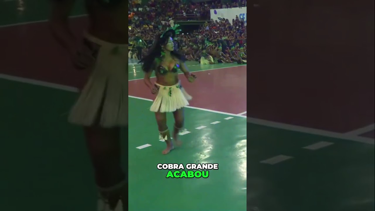 Brazil&rsquo;s Indigenous soul in motion 🌿