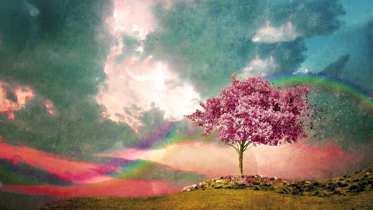 Doxx - The Pink Fields (Evening Star Cover)