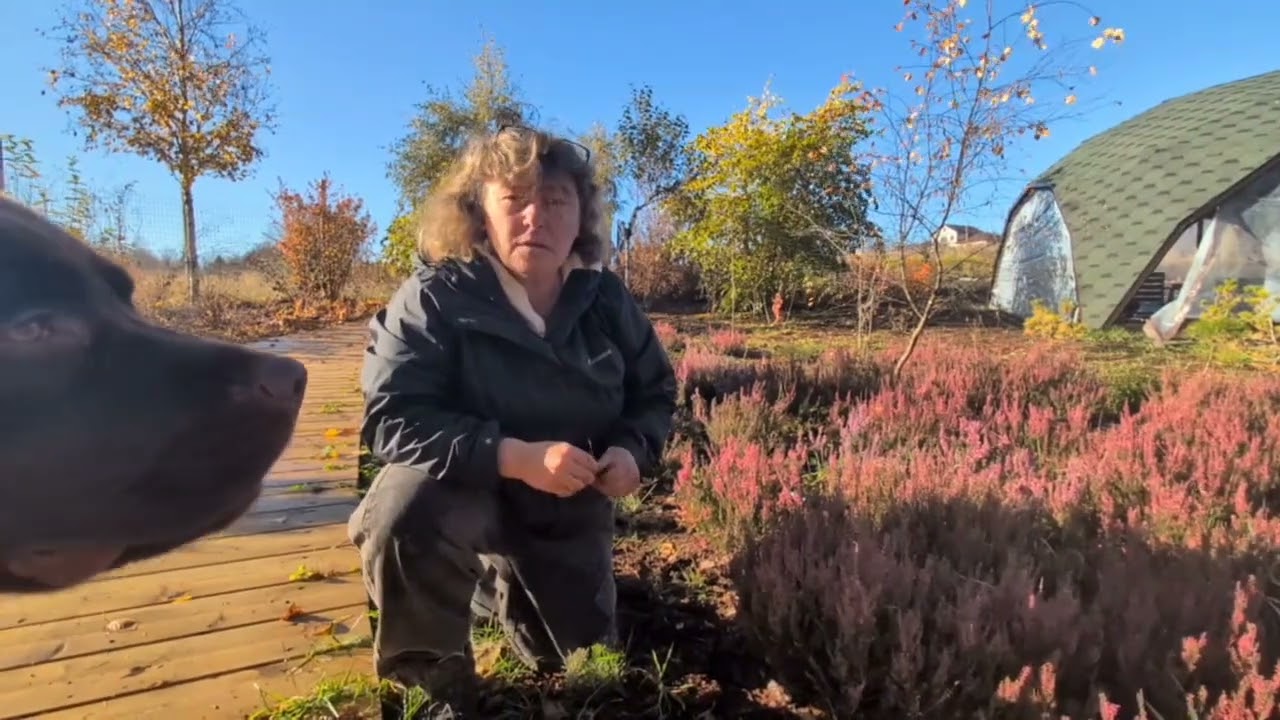 Немного о мульчировании. Давайте порассуждаем..