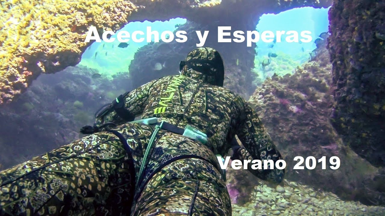 Pesca Submarina - Acechos y Esperas - Verano