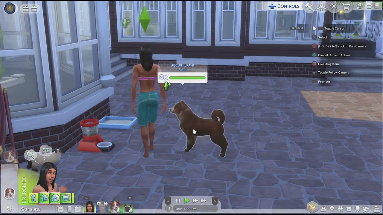 My dog finally came back! I created a fence The Sims 4