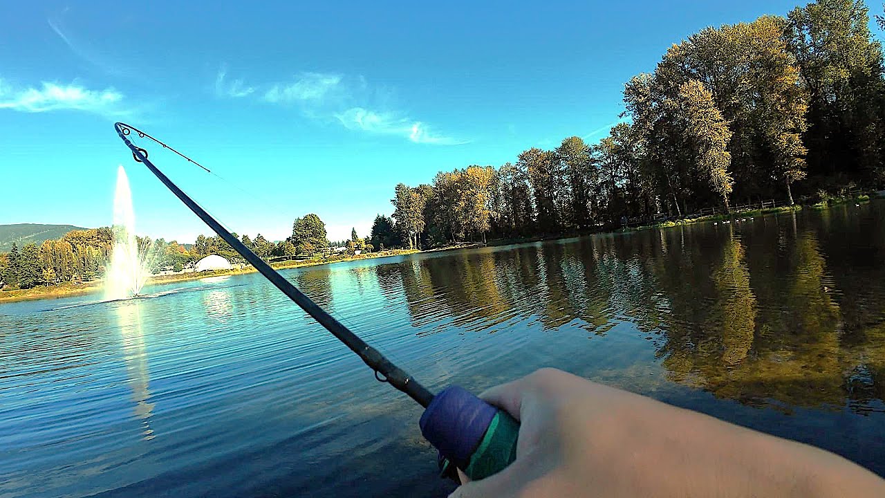 Stocked Trout BITE is on at Lafarge Lake! Catfish Too?! (Best Stocked Trout Fishing Method)
