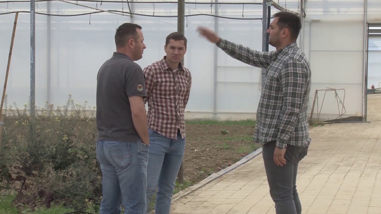 Vrhunski - ORGANSKA PROIZVODNJA SEMENA POVRCA - izvoz iz Srbije ugovaranje