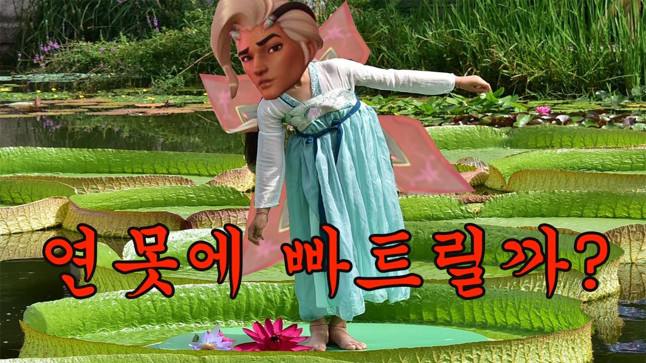라이프위버 경쟁하다가 연못빠질뻔 ㅋㅋㅋ