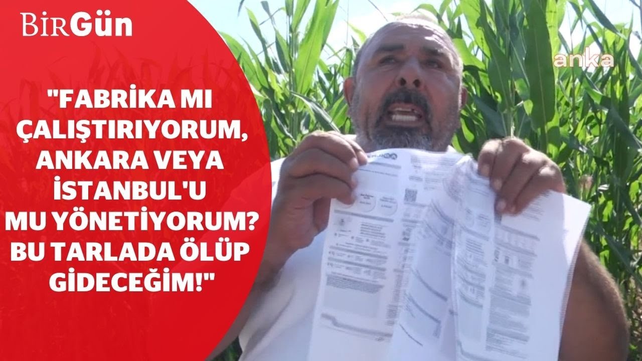 115 bin lira elektrik faturası gelen çiftçi isyan etti: 