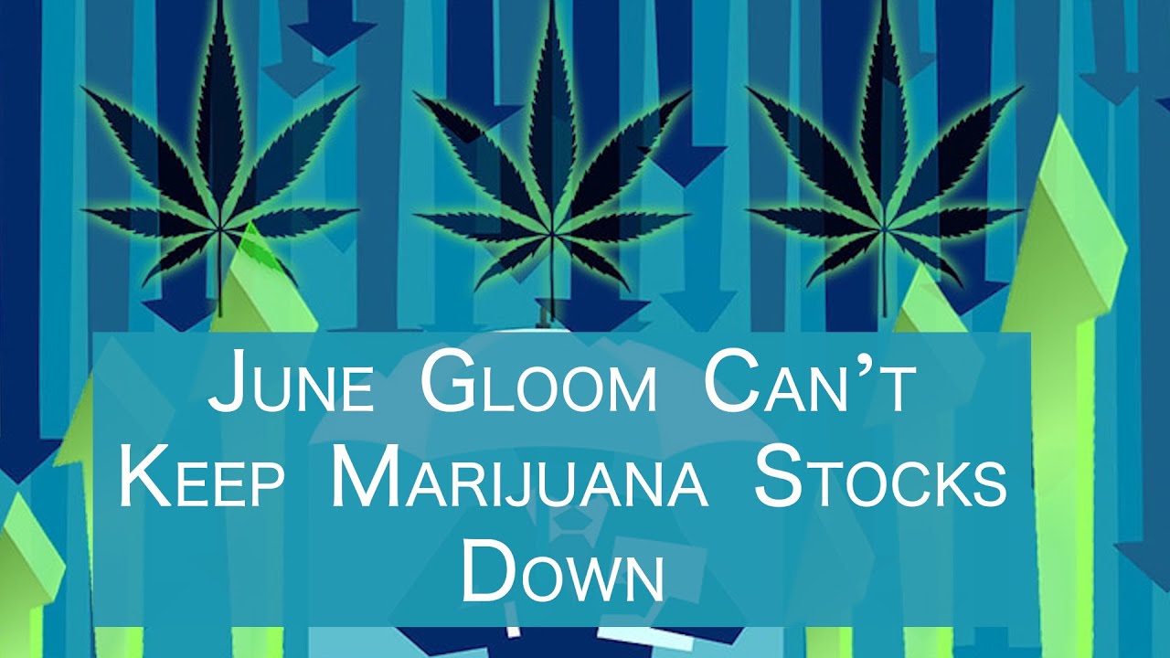 June Gloom Can&rsquo;t Keep Marijuana Stocks Down