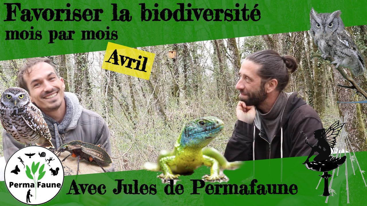 Favoriser la biodiversité, Mois par mois ! Avec Jules de Permafaune