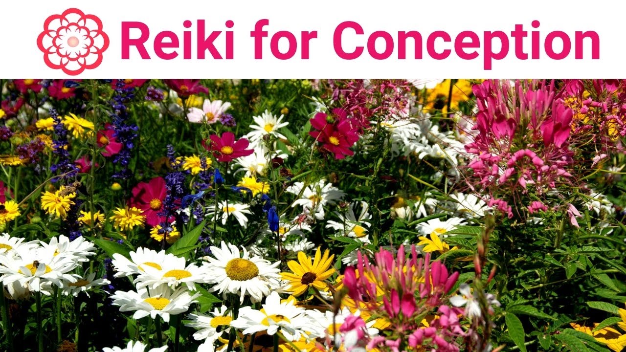 Reiki for Conception 💮