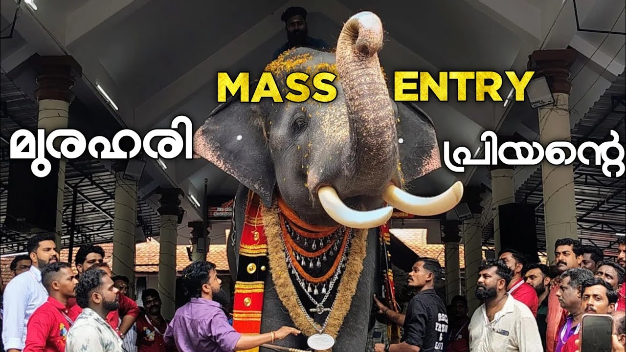 akkavila vishnu narayanan mass entry | ശൈലേഷ് ഏട്ടൻ മാസ് announcement❤‍🔥
