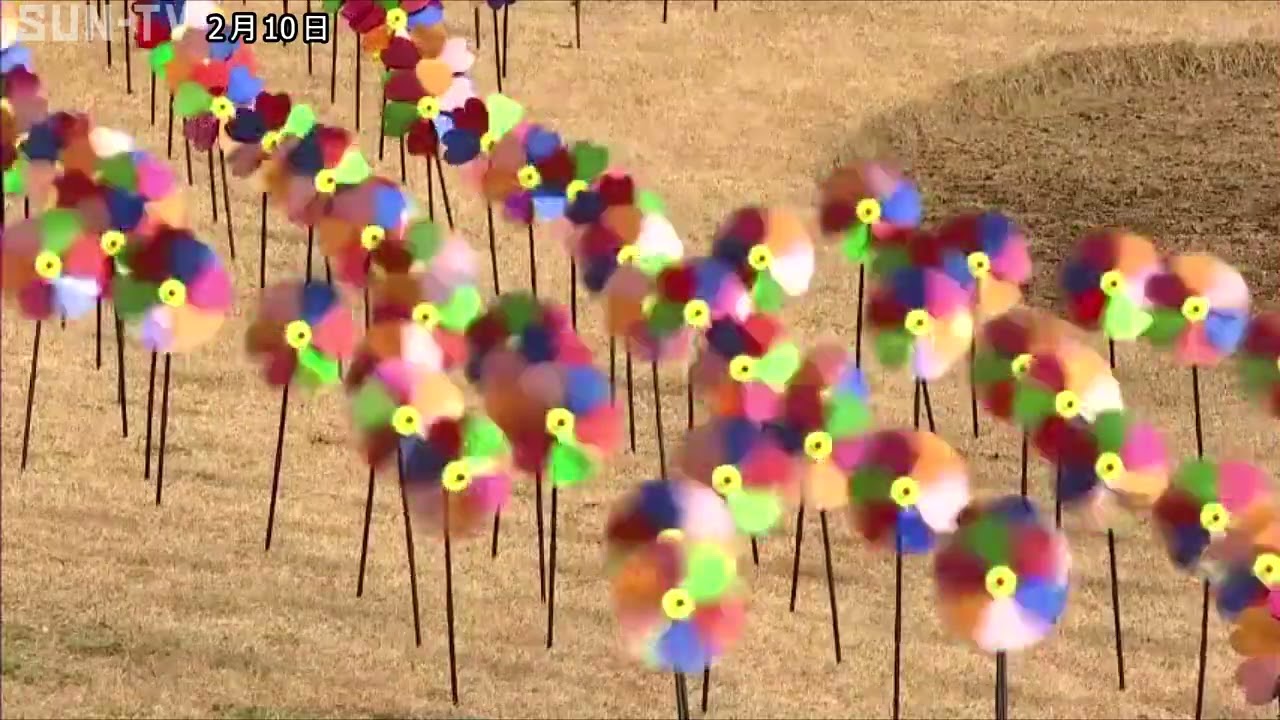 丘一面染める「風車」明石海峡公園