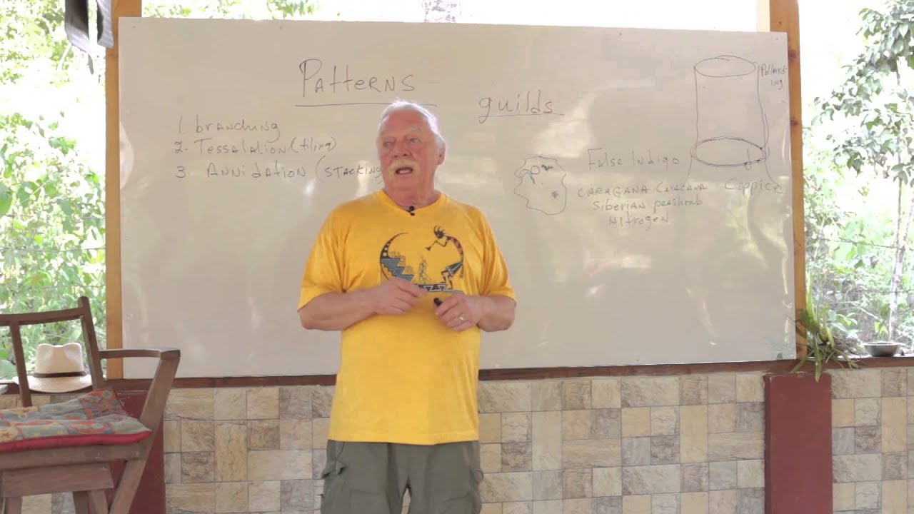 Permaculture Design Course Patterns | Scott Pittman | Full Course at Organic Life Guru