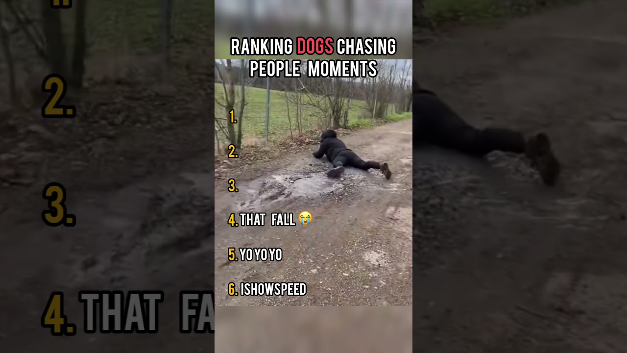 Ranking dogs chasing people Moments 😂🐶