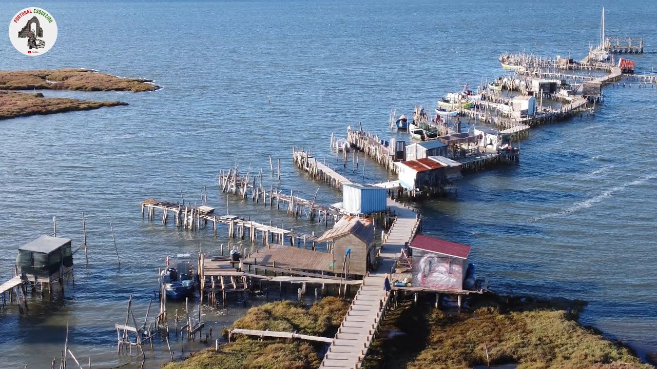 Construído para Sobreviver: O Cais Palafítico da Carrasqueira