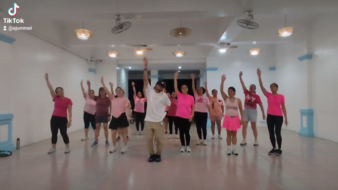 Starships by Nicki Minaj dance challenge with Zin Janssel 😊 #starships #dance #zumba #wellness
