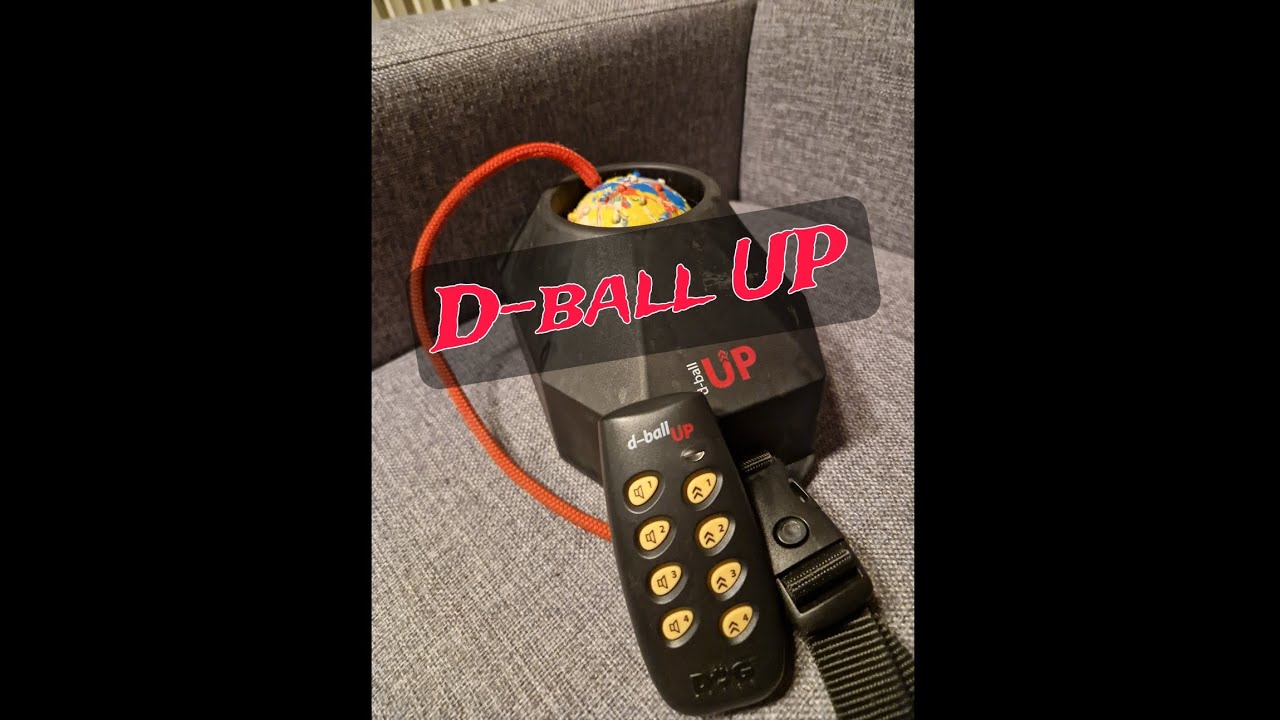 D-Ball UP Ball machine/Ball thrower how it works & how you can use it (in English)