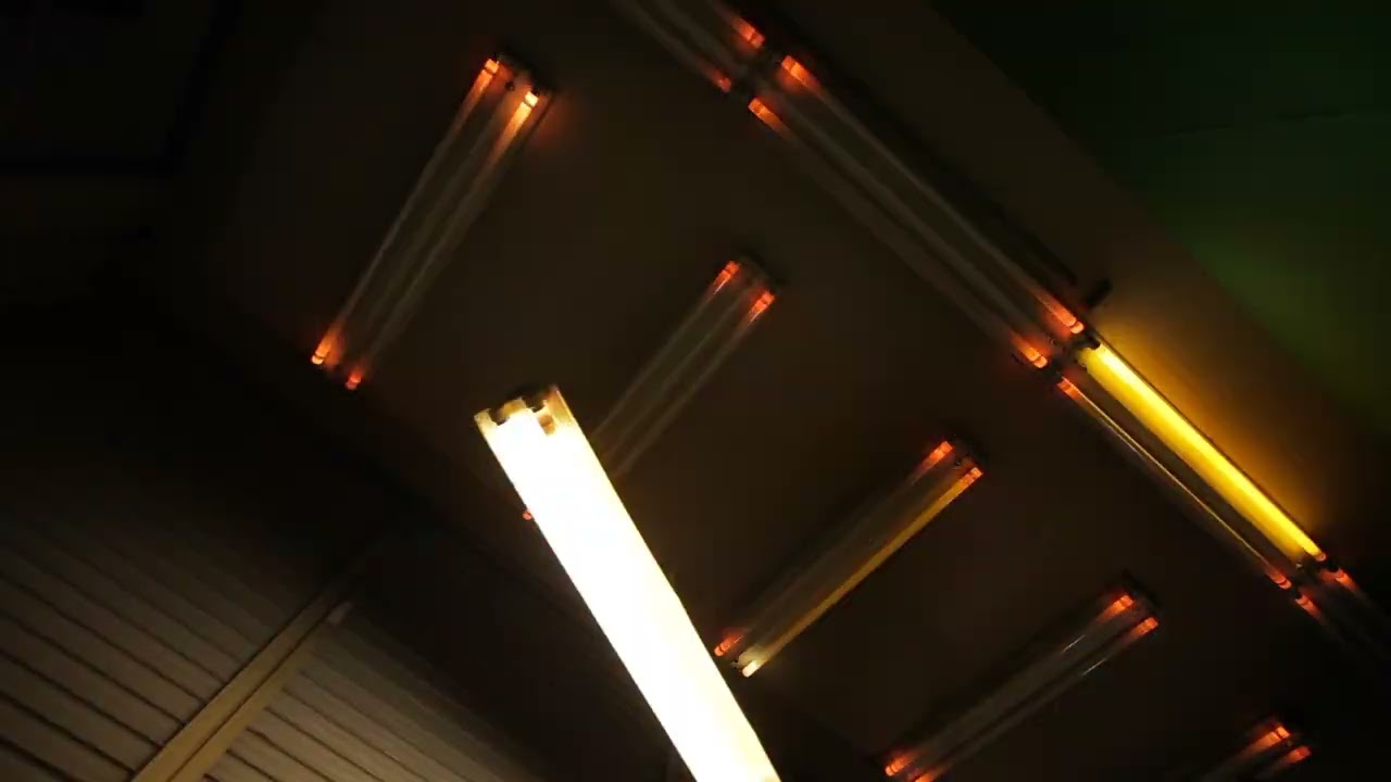 経年ディスコ