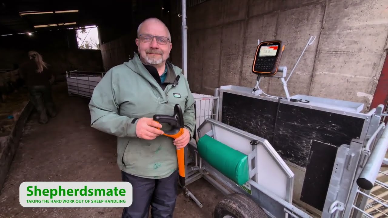 3 way Drafting on the Shepherdsmate Handller with the Gallagher TW3