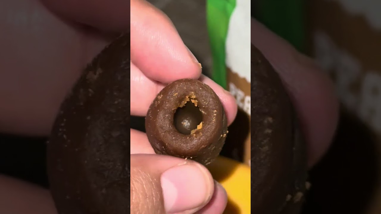 Giving Our Dogs Medication 💊 