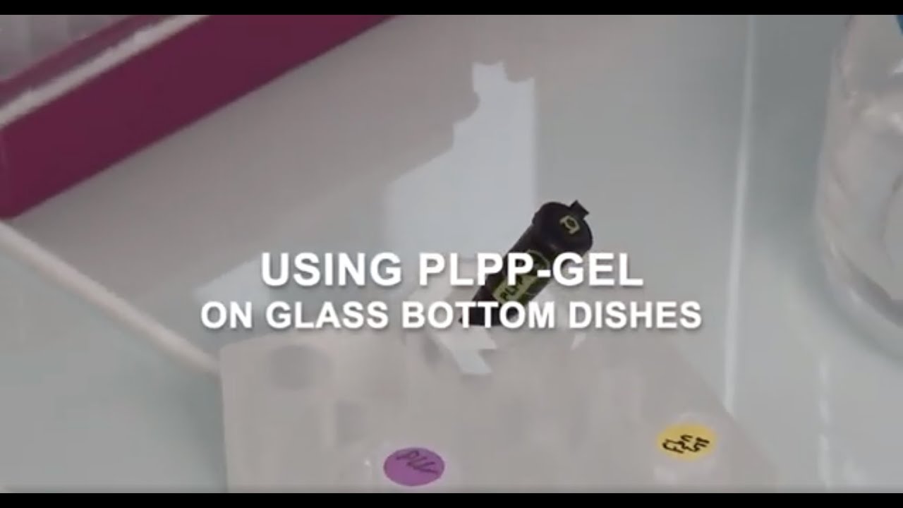 Tutorial video: NEW PLPP Gel on glass bottom dishes
