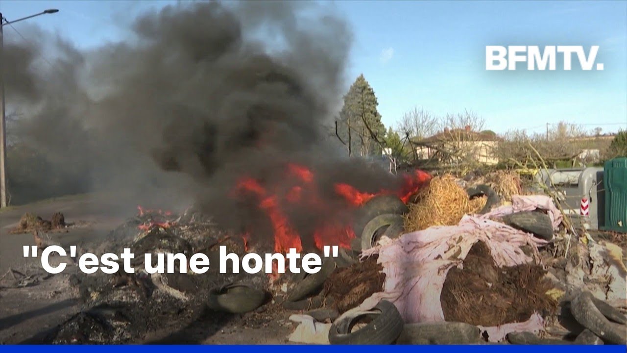Crise agricole: au c&oelig;ur des col&egrave;res dans les exploitations