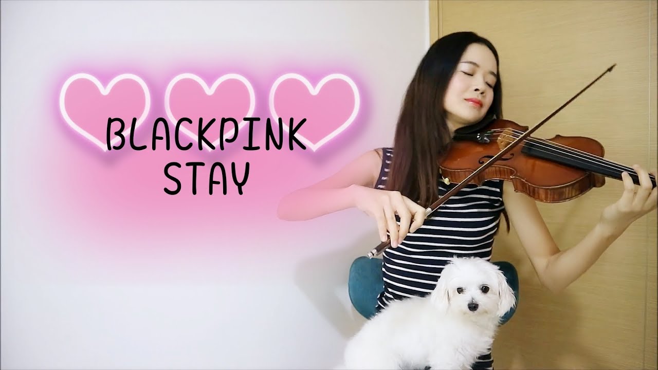 BLACKPINK (블랙핑크) - Stay ☆Violin☆